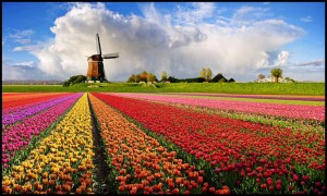 olanda