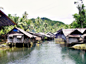 Philippines - Mangrove Village del Carmen