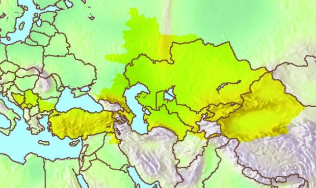 Ramadan 2015  (2)