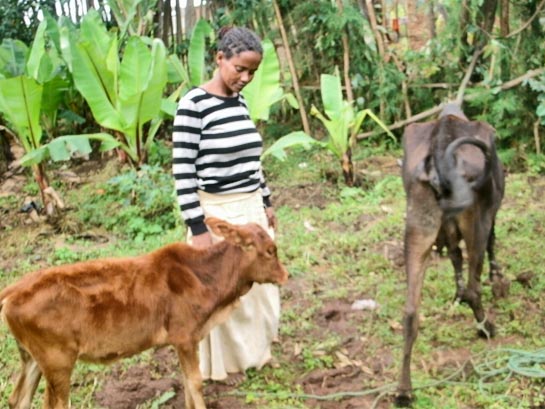 Ethiopian-Christians-small-businesses-4X3