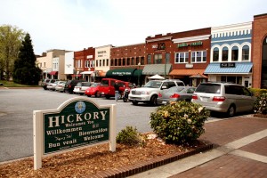 Hickory1