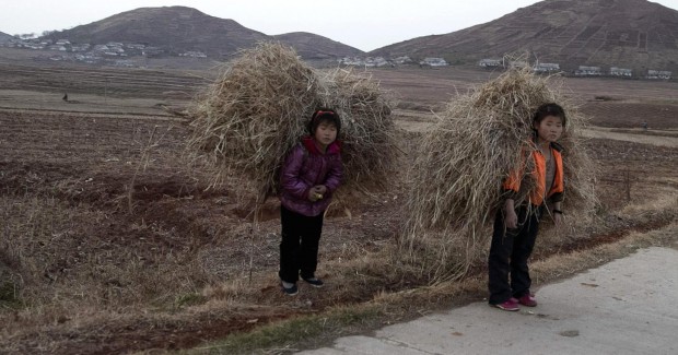 north koreea