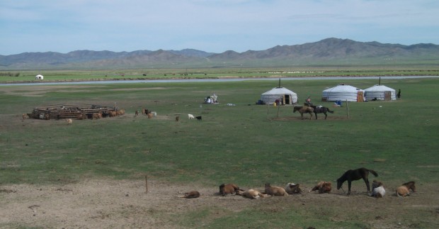 Mongolia Iurte (Găr) & Turme