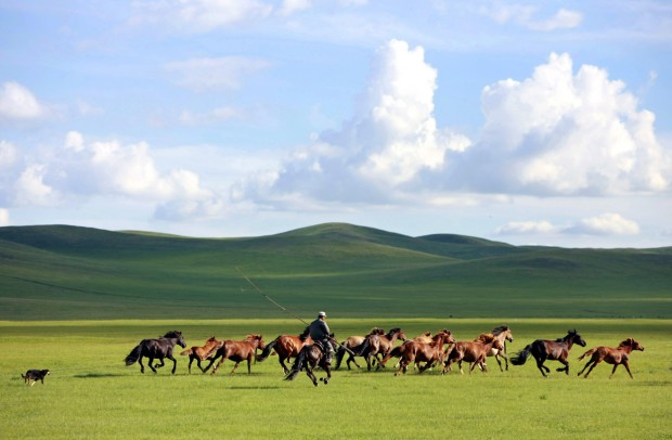 Mongolia cai