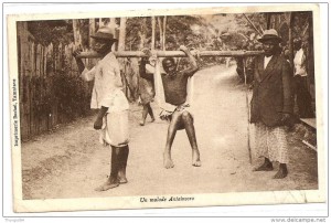 Schilod madagascar - Copy