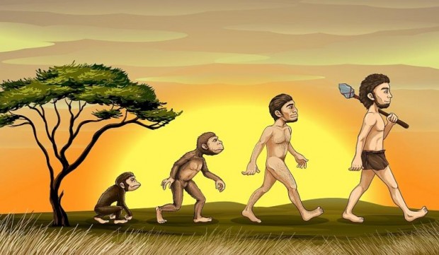 evolutie_darwinism